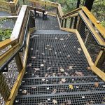 Disclaimer: Please note that the specific products showcased in these images are not manufactured or owned by Direct Metals® but represent the potential applications of similar products we supply. Fiberglass grating steps with wire mesh handrail inserts in a national park, similar to products provided by Direct Metals®.